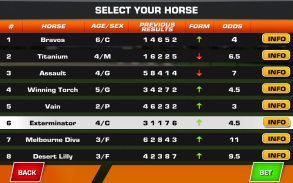 Bet on Horse: Racing Simulator screenshot 1