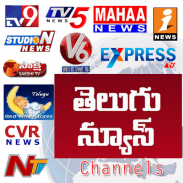 Telugu Live News screenshot 1