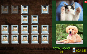 All Animals Pairs Memory Game screenshot 12