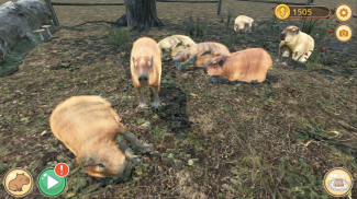 Capybara Zoo screenshot 5