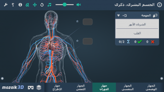 مشهد الجسم البشري 3د (ذكر) screenshot 5