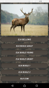 Deer hunting calls screenshot 2