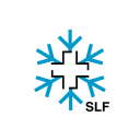 White Risk - SLF Avalanche App Icon