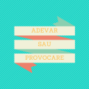 Adevar Sau Provocare Icon