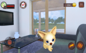 Chihuahua Dog Simulator screenshot 11