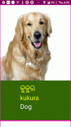 Learn Odia Wildlife and Body Parts Names screenshot 10