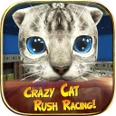 Crazy Cat Rush Racing