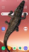 Krokodil im Handy großer Witz screenshot 0