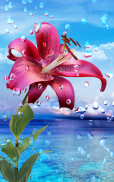 Summer Rain, Flowers, HD LWP screenshot 10