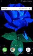 Blue Rose Beauty LWP screenshot 2