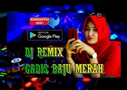 DJ Gadis Baju Merah Viral Tiktok DJ Remix Offline screenshot 2