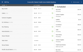 Evansville FCU Mobile Banking screenshot 2