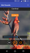 Relax & Sleep with Bird Sounds screenshot 5