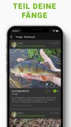 ALLE ANGELN - App für Angler screenshot 2