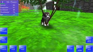 Cute Pocket Puppy 3D screenshot 7