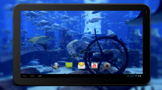 4K Aquarium Tank Video Live Wallpaper screenshot 0