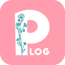 P-Log