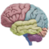3D Brain Icon