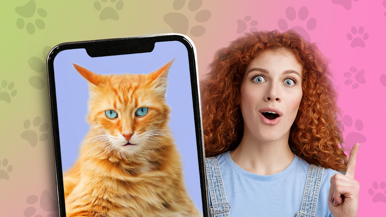 Какой ты кот? 😻😹 пранк - Загрузить APK для Android | Aptoide