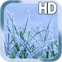 Winter Grass LWP Free Icon