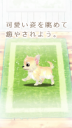 癒しの子犬育成ゲーム〜チワワ編〜 screenshot 14