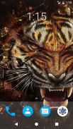 Tiger HD Wallpapers screenshot 4