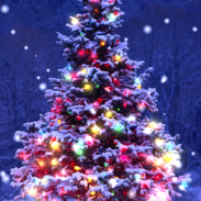 Christmas Live Wallpaper screenshot 0