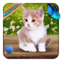 Cute Lovely Cat APUS Live Wallpaper