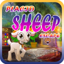 Placid Sheep Escape Game - A2Z Escape Game