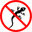 Electric repellent for lizards