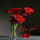 Red Flowers Pot LWP Icon