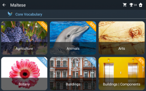 Maltese Language Tests screenshot 14