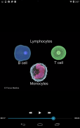 Hematology - Medical Dict. screenshot 6