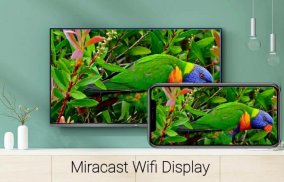 Miracast For Android to TV screenshot 2