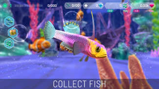 Fish Abyss - Build an Idle Ocean Aquarium screenshot 6