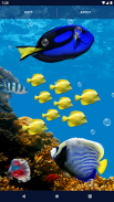 Fish Ocean Live Wallpaper screenshot 6