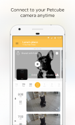 Petcube screenshot 3