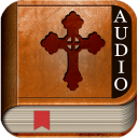 Audio Bible NIV Icon