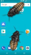 Cockroaches in Phone Ugly Joke screenshot 0