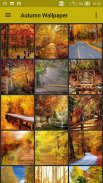 Autumn, Spring, Winter, Summer Wallpaper (Seasons) screenshot 3