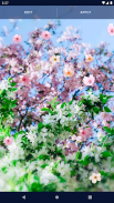 Sakura Flower Live Wallpaper screenshot 5