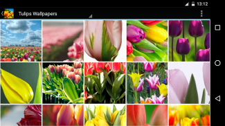 Wallpaper Tulip screenshot 3