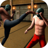 Ninja Kung Fu Fighting 3D Icon