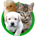 Animal Sounds for Kids - Baby Animals Icon