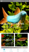 AquariumFish.net screenshot 0