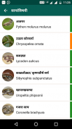 Snake Friend - सर्पमित्र screenshot 4