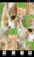 Cat Puzzle Games screenshot 5