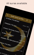 Audio Quran by Mishary Alafasy screenshot 10