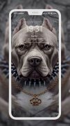 Pitbull Wallpaper screenshot 4