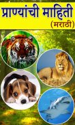 Animal Information in Marathi screenshot 0